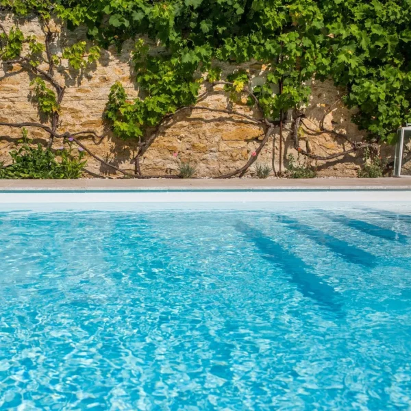 EVOLUTION poolliner